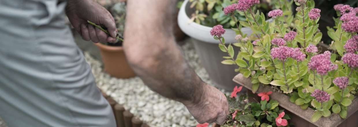 A man outside gardening