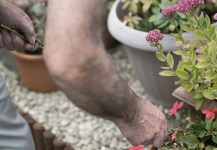 A man outside gardening