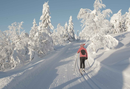 Woman skiing from behind